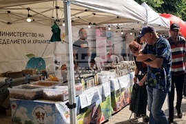 Кърджали - „Дни на приятелството“ - начало