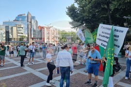 Пловдив - протест - евро