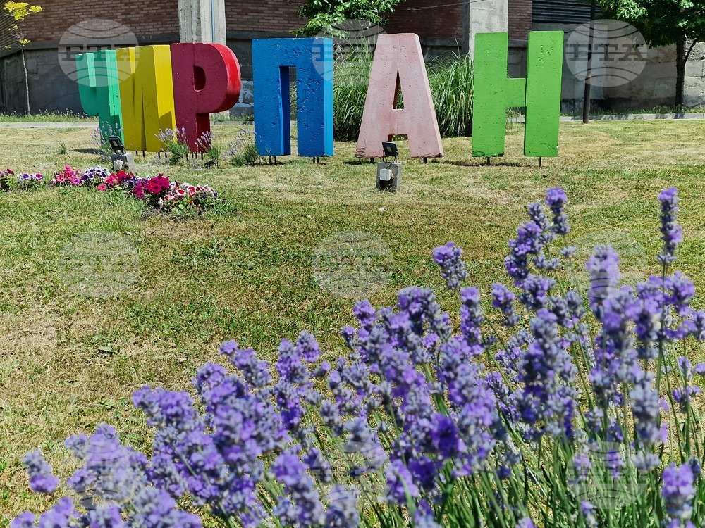 Тридневният Международен фестивал на лавандулата 2025 в Чирпан представя природата и българската култура под надслов "Сетивата празнуват"