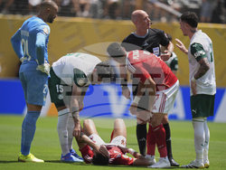 CWC Palmeiras Al Ahly Soccer