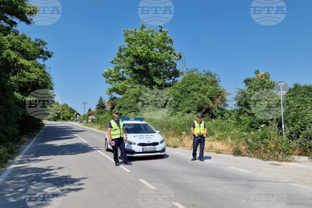 Shumen Region Warns of Feline Predator on the Loose