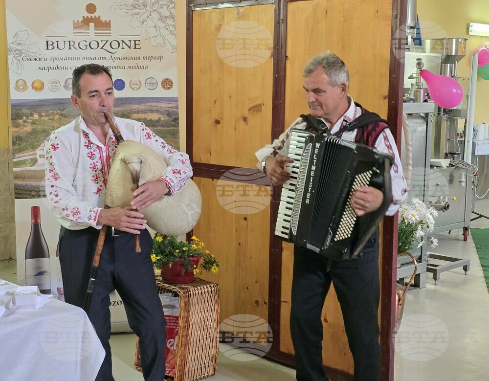 Село Боровица - винарска изба - фестивал на ферментационните продукти