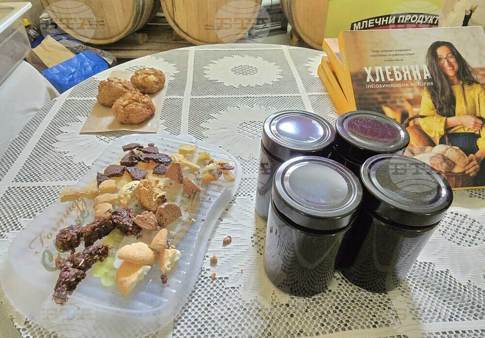 Село Боровица - винарска изба - фестивал на ферментационните продукти