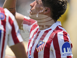 CWC Atletico Madrid Botafogo Soccer