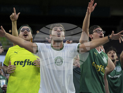 CWC Inter Miami Palmeiras Soccer