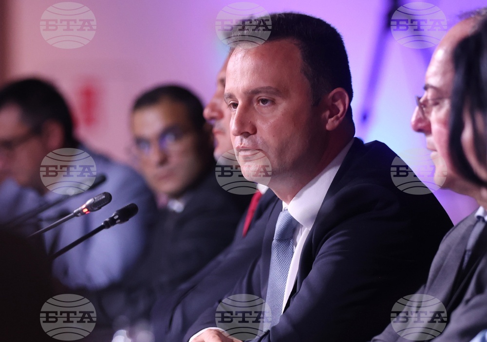 Energy Minister: State Is Committed to Advancing Prospection, Exploration of Rare Earth Elements