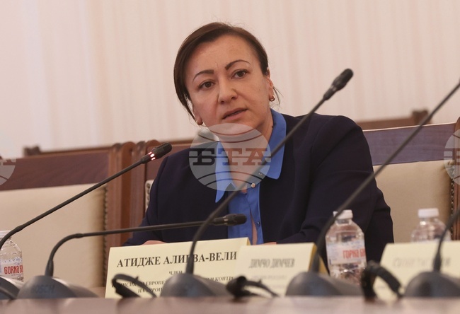 MP Alieva-Veli of MRF-New Beginning Praises BTA for Good Practice of Hearing Bulgarians' Voices