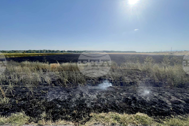 Лек автомобил се запали на автомагистрала Тракия и предизвика пожар в нива с пшеница, няма пострадали