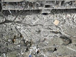 Pictures of the Week Global Photo Gallery
