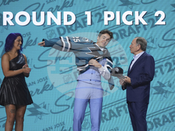 NHL Hockey Draft