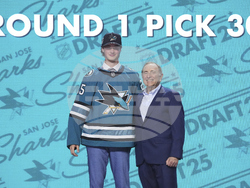NHL Hockey Draft