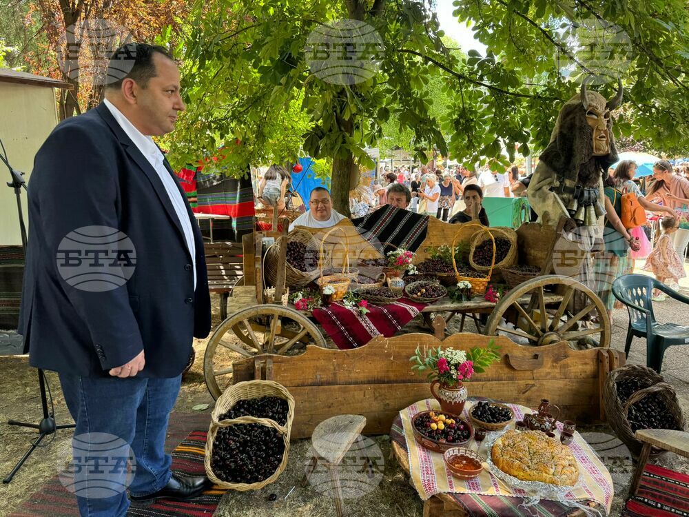 Кюстендил - „Празник на черешата“
