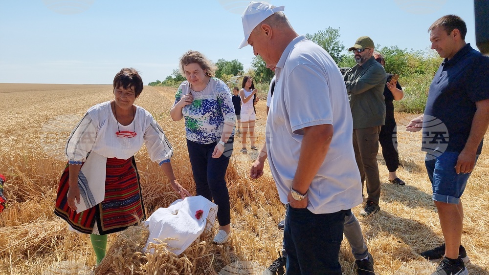 Село Манастирище - старт на жътвената кампания