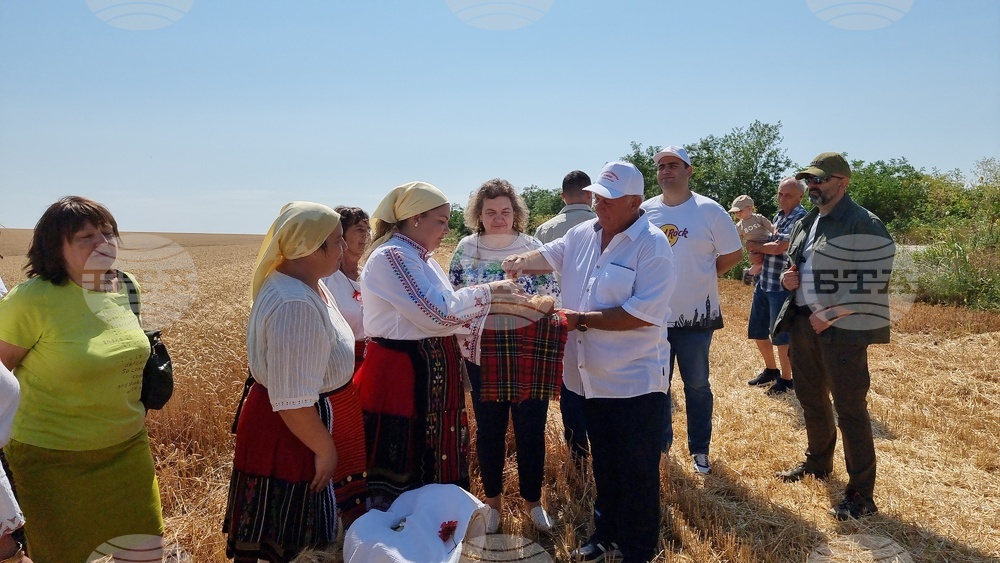 Село Манастирище - старт на жътвената кампания