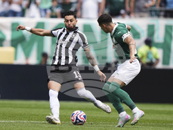 CWC Palmeiras Botafogo Soccer