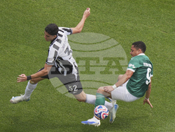 CWC Palmeiras Botafogo Soccer