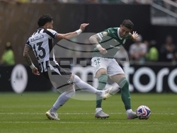 CWC Palmeiras Botafogo Soccer