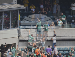 CWC Palmeiras Botafogo Soccer