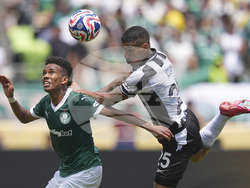 APTOPIX CWC Palmeiras Botafogo Soccer