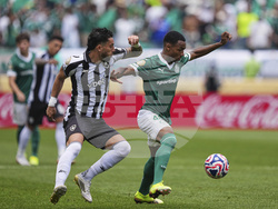 CWC Palmeiras Botafogo Soccer