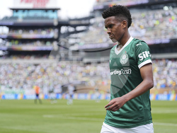 CWC Palmeiras Botafogo Soccer