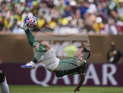 APTOPIX CWC Palmeiras Botafogo Soccer