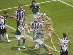CWC Palmeiras Botafogo Soccer