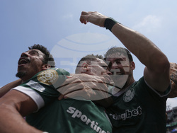 CWC Palmeiras Botafogo Soccer
