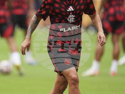 CWC CR Flamengo Bayern Munich Soccer