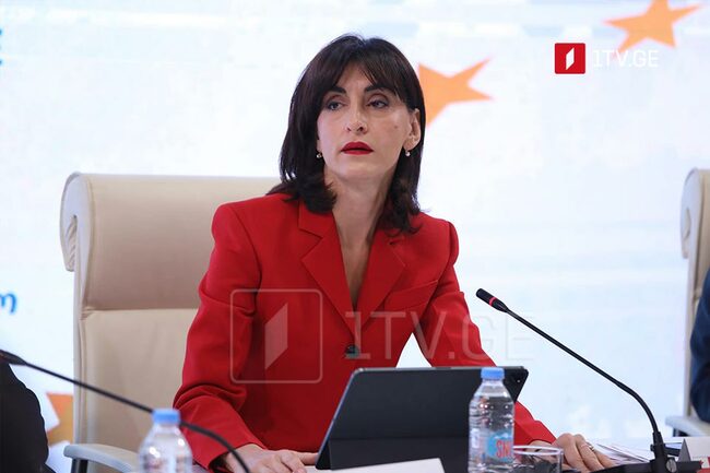 ГПБ: Външният министър на Грузия ще участва в Четвъртата конференция на ООН за финансиране на развитието