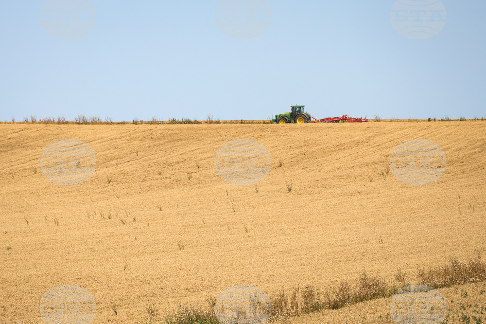 Село Полски извор - земеделие - жътва
