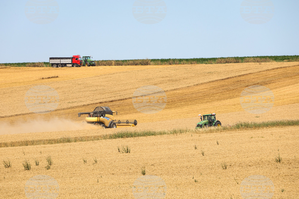 Село Полски извор - земеделие - жътва