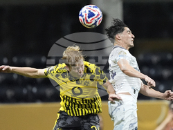 CWC Borussia Dortmund CF Monterrey Soccer