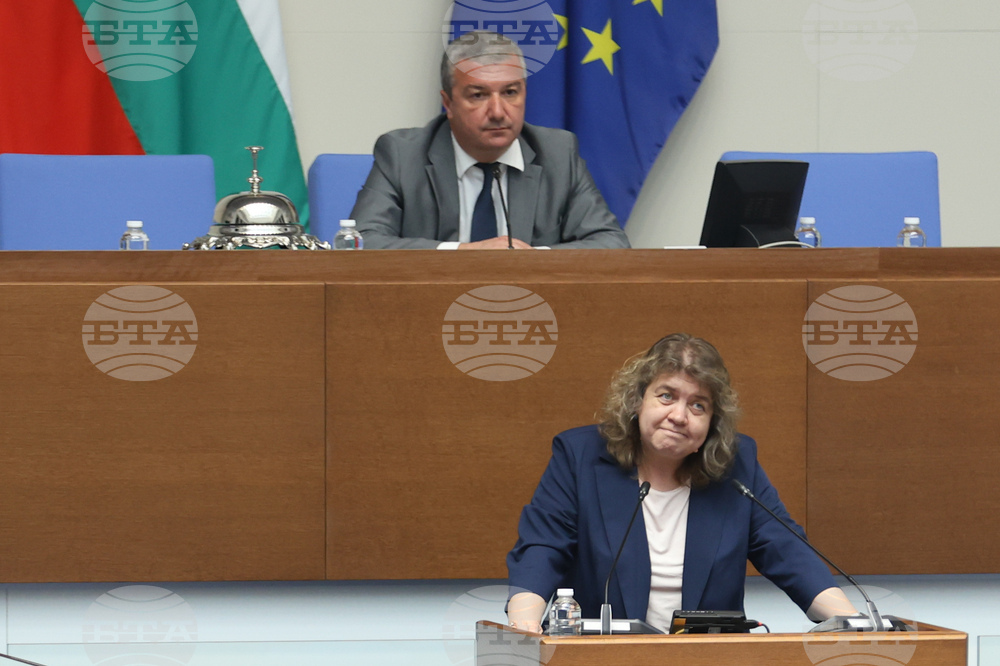 Issues Beyond Parliament’s Competence Cannot Be Subject to Referendum, National Assembly Chair Kiselova Says