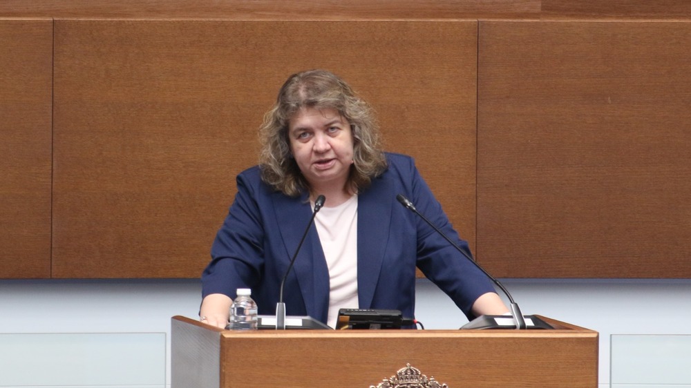 Доц. Киселова: Въпроси извън компетентността на НС не могат да се подлагат на референдум. Спрете да лъжете хората