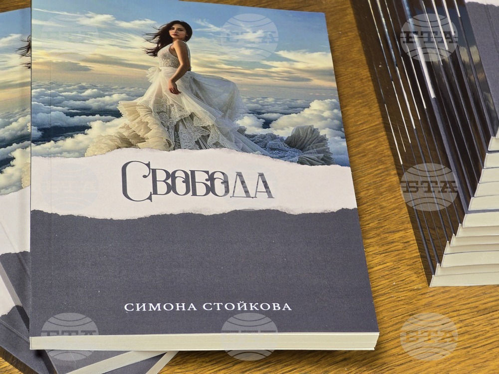 Видин - книга - представяне