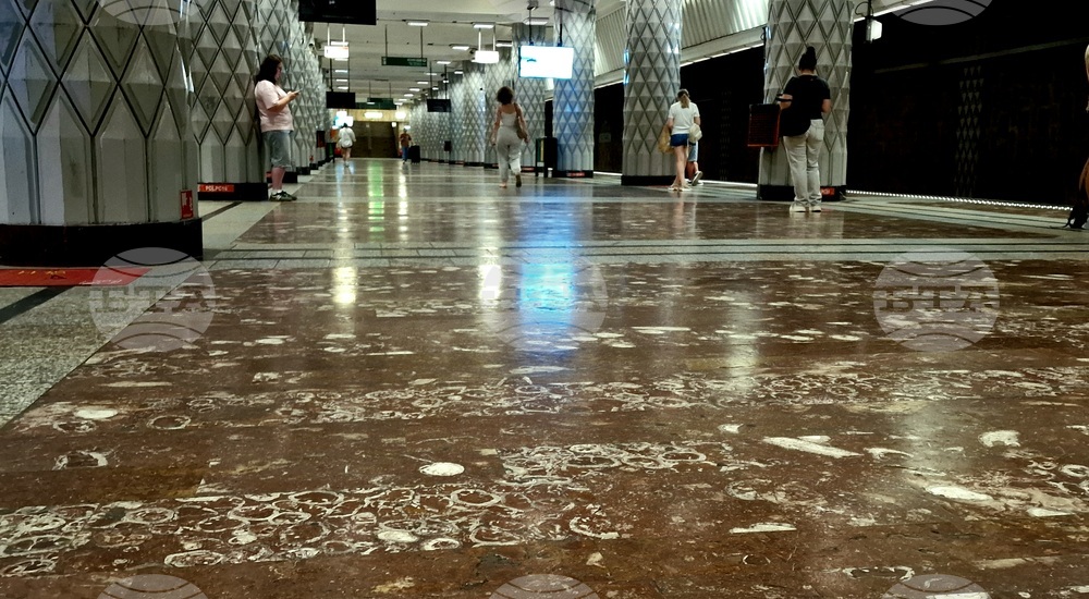 Фосили на 65 000 години могат да бъдат видени на една от спирките на метрото в Букурещ