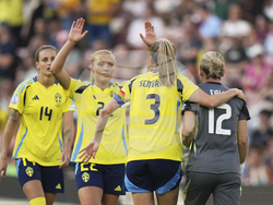 Euro 2025 Denmark Sweden Soccer
