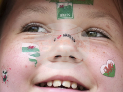 APTOPIX Euro 2025 Wales Netherlands Soccer