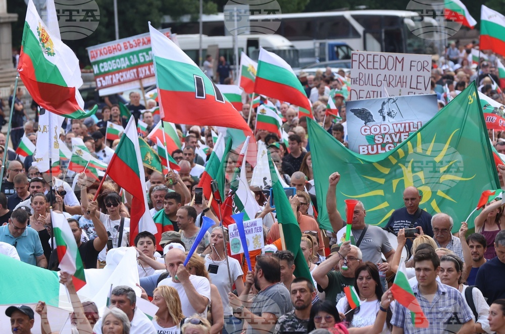 С шествие приключи протестът в защита на българския лев в София