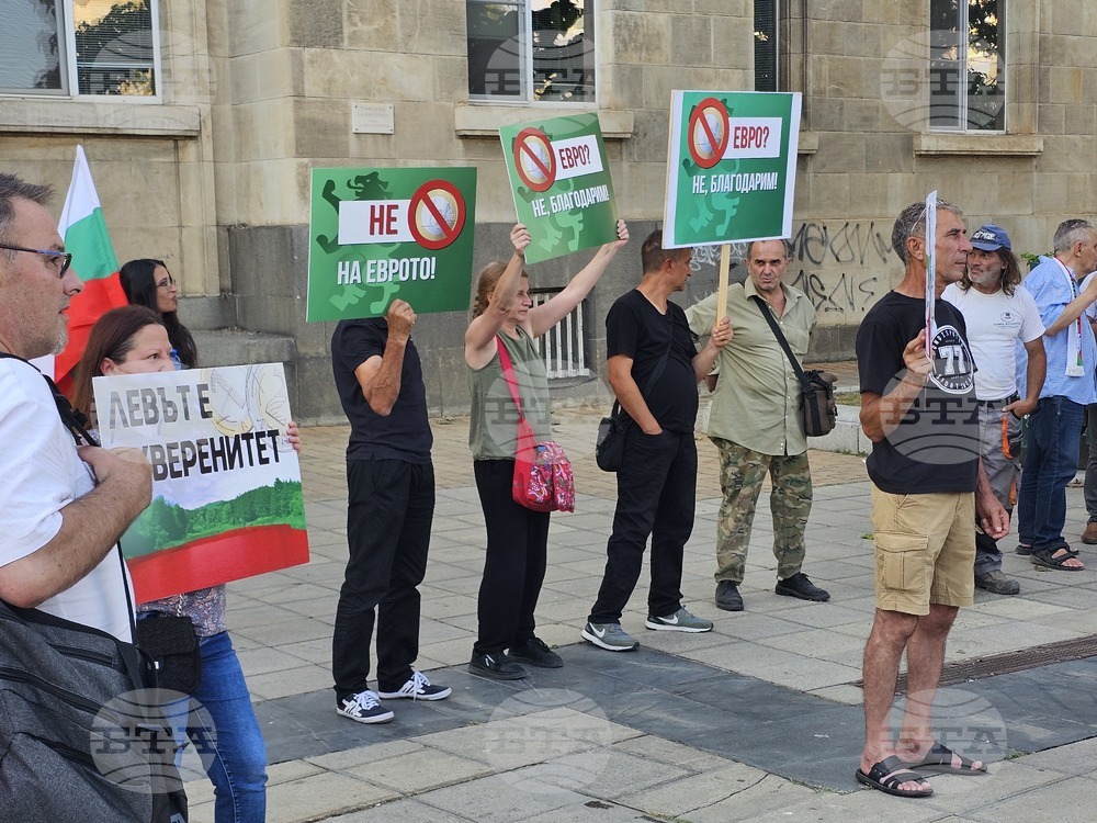 Русе - протест срещу еврото