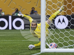 CWC PSG Bayern Munich Soccer