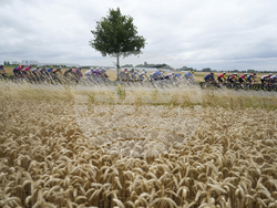 Cycling Tour de France