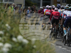 Cycling Tour de France