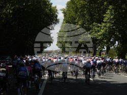 Cycling Tour de France