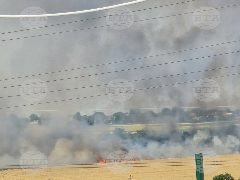 Heatwave Sparks Wildfires Across Bulgaria, Firefighting Efforts Continue in Several Regions