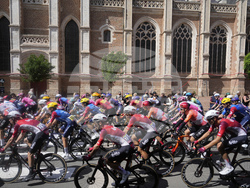 Cycling Tour de France