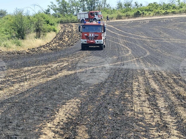 Потушен е пожарът край хитринското село Развигорово, който обхвана около 1700 декара