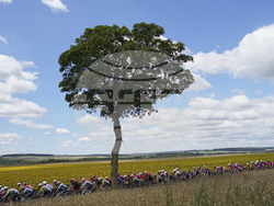 APTOPIX Cycling Tour de France