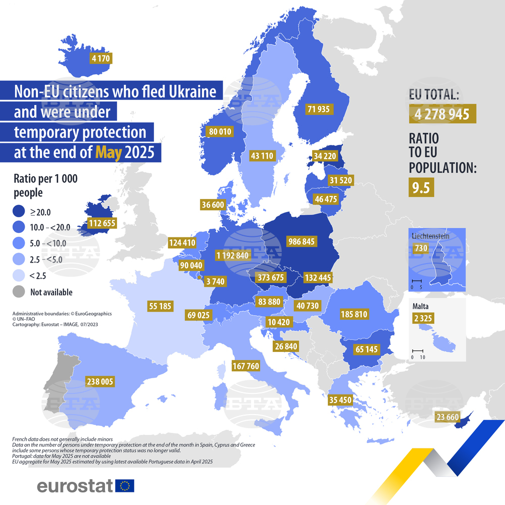 4.8 Mln Ukrainians Have Temporary Protection Status in EU Countries in May 2025, Their Number Dropped the Most in Bulgaria